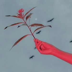 Meet your Posher, Garrison